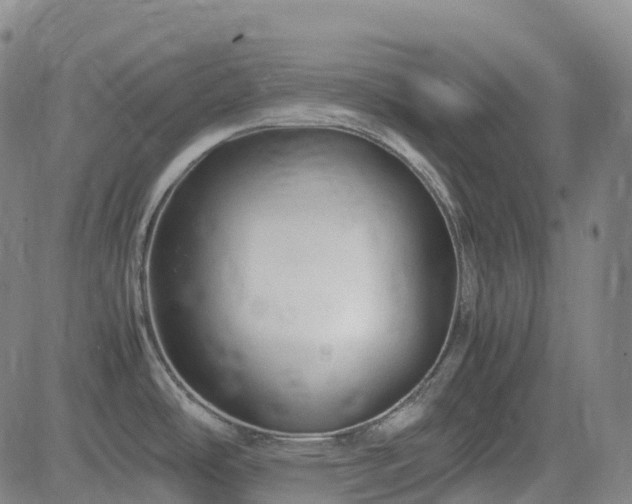 X0000083601486200702162156
