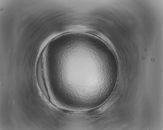 X0000083601488200702162156