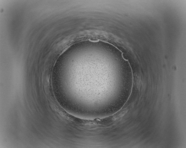 X0000083601489200702162155