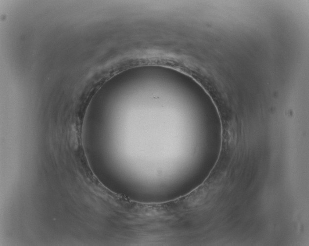 X0000083601493200702162155