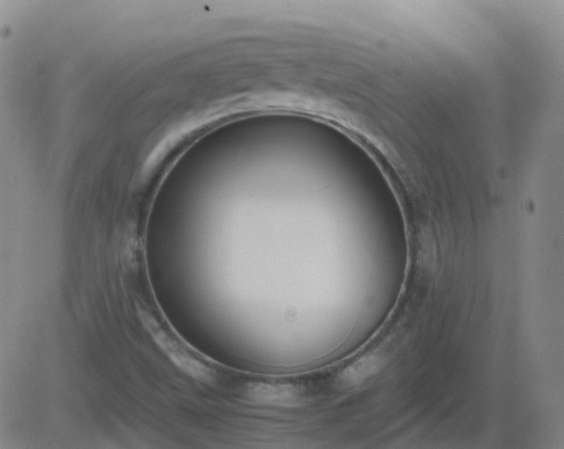 X0000083601499200702162155