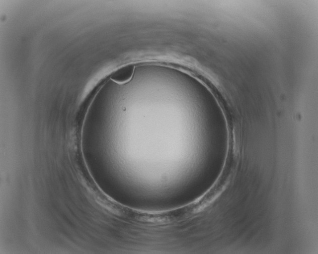 X0000083601501200702162155