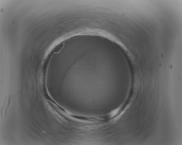 X0000083601506200702162155