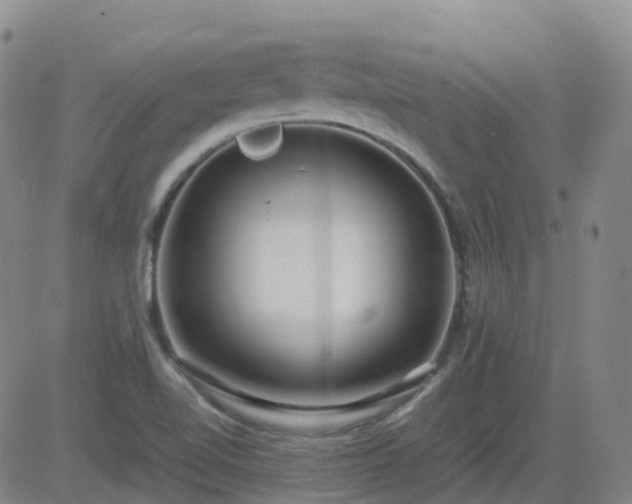 X0000083601510200702162155