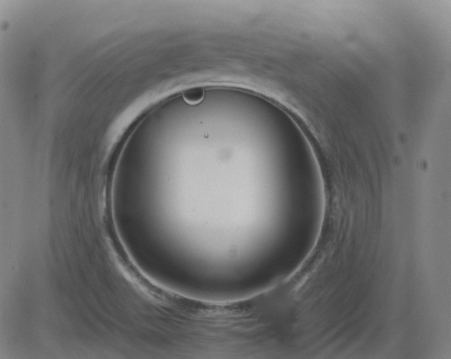 X0000083601511200702162155