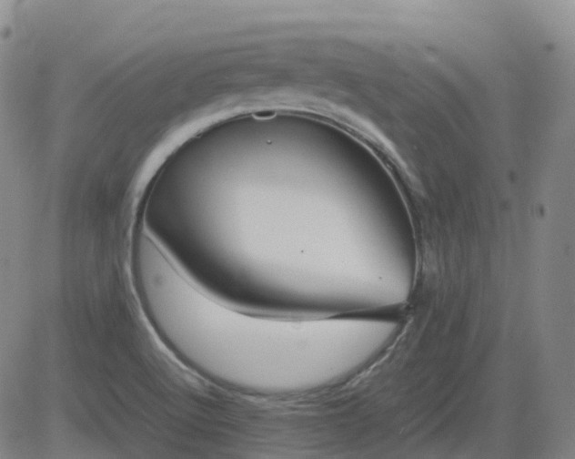 X0000083601512200702162155