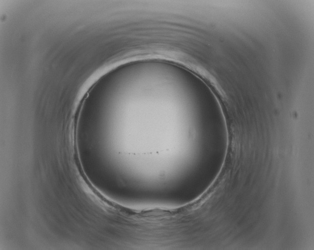 X0000083601516200702162155