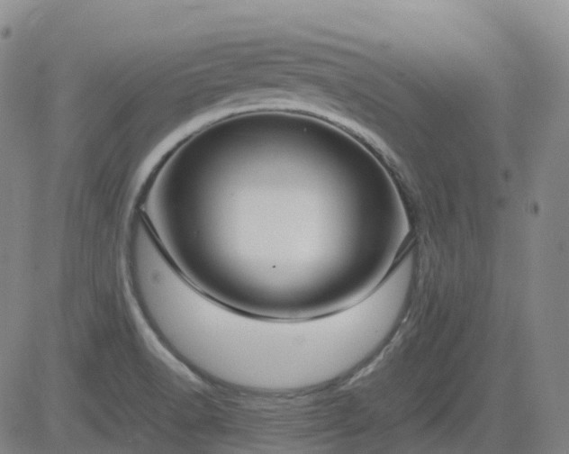 X0000083601518200702162155