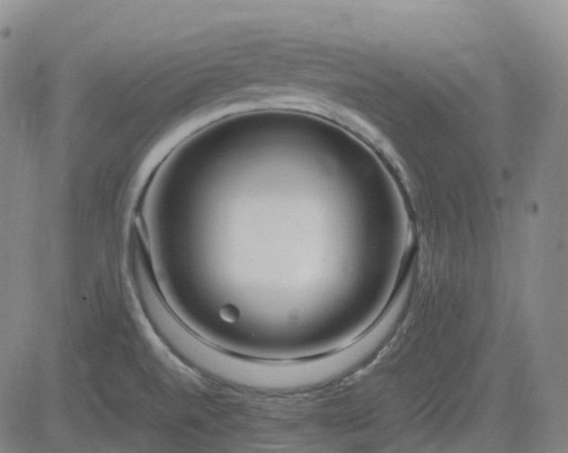 X0000083601520200702162155