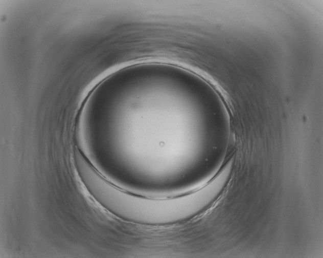X0000083601534200702162156