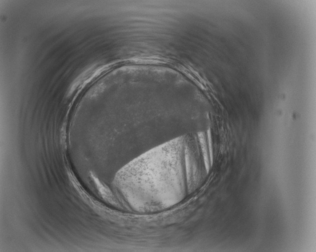 X0000083600002200702231758