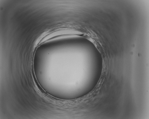 X0000083600003200702231758