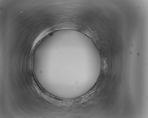 X0000083600004200702231758