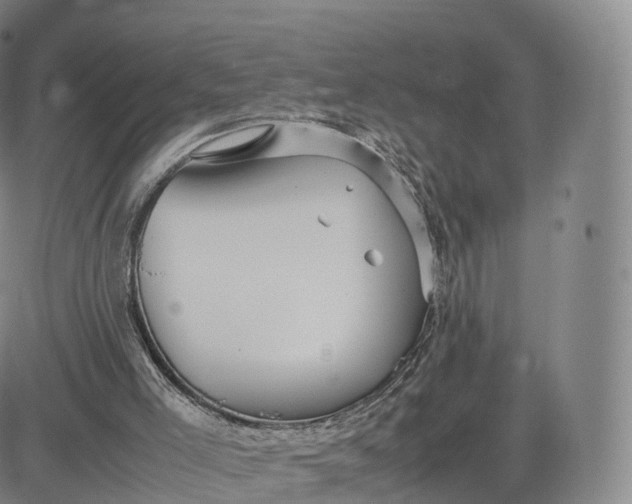 X0000083600005200702231758