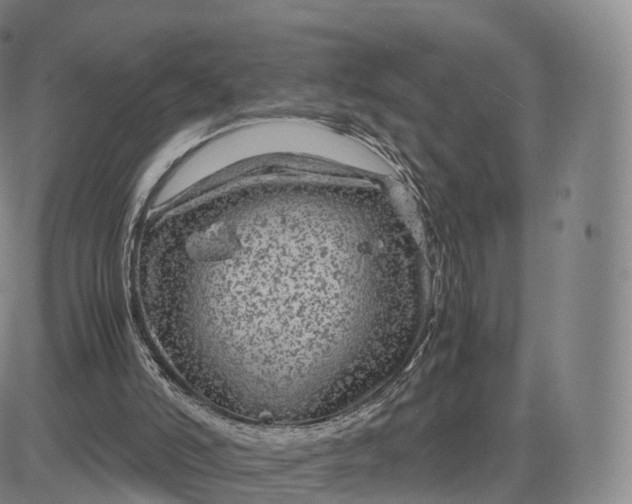 X0000083600006200702231758