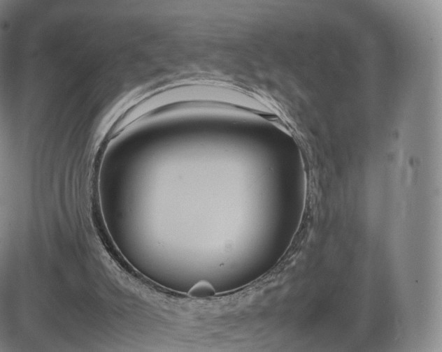 X0000083600007200702231758