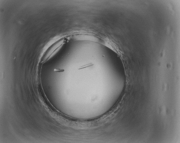 X0000083600008200702231758