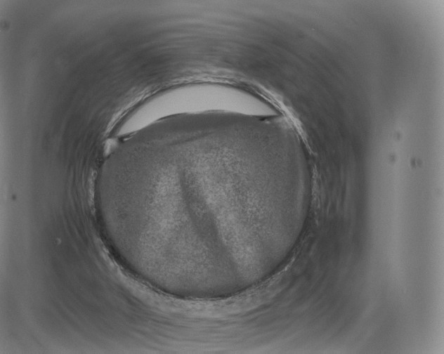 X0000083600010200702231758