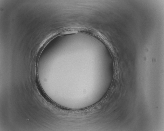 X0000083600011200702231758