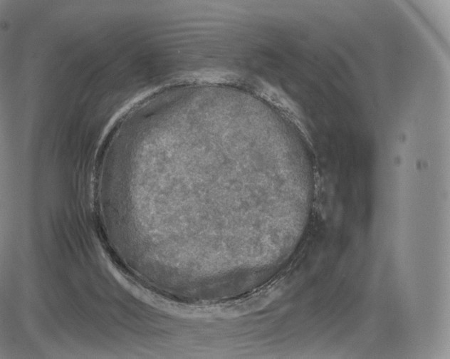 X0000083600012200702231758