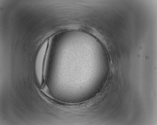 X0000083600013200702231758