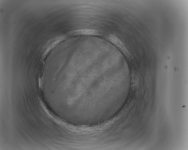 X0000083600014200702231758