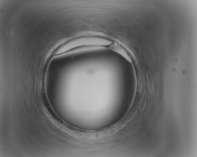 X0000083600015200702231758