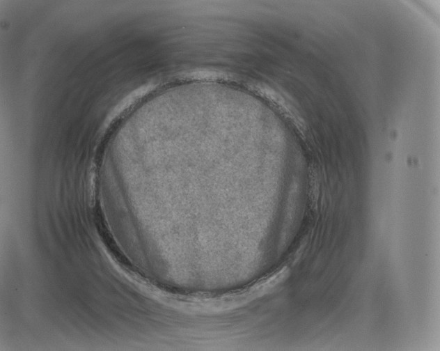 X0000083600016200702231758