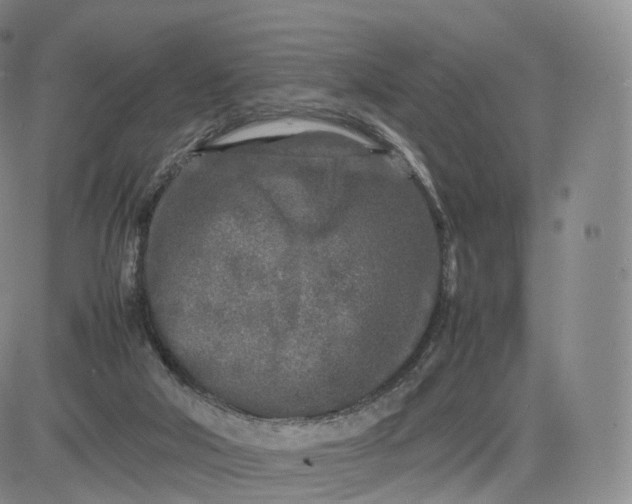 X0000083600018200702231758