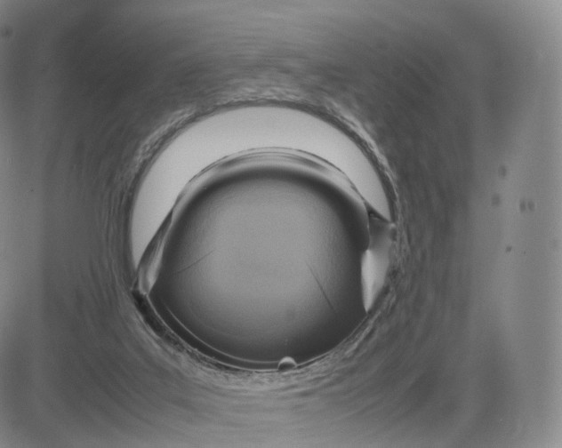 X0000083600019200702231758