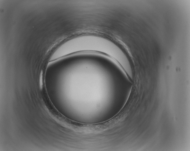 X0000083600020200702231758