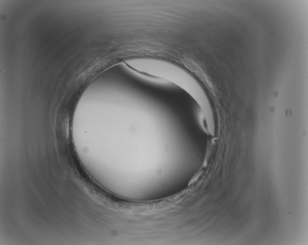 X0000083600021200702231758