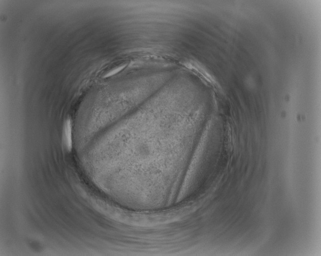 X0000083600022200702231758