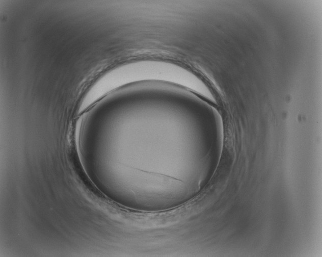 X0000083600023200702231758