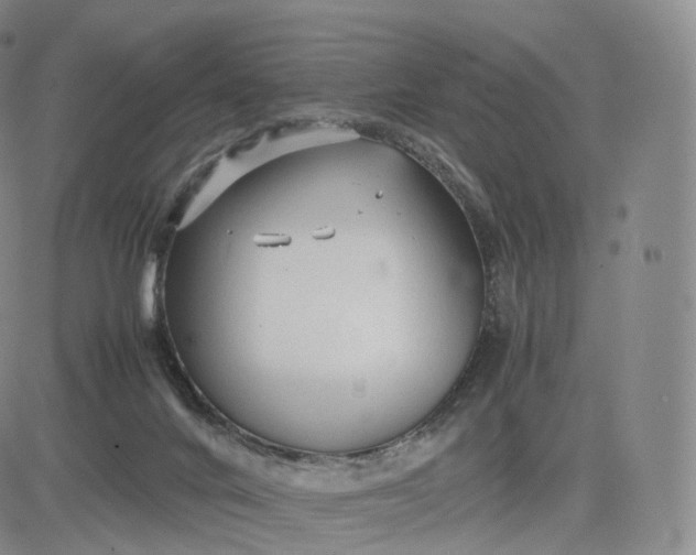 X0000083600024200702231758