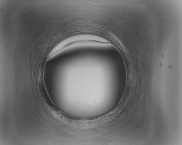 X0000083600025200702231758