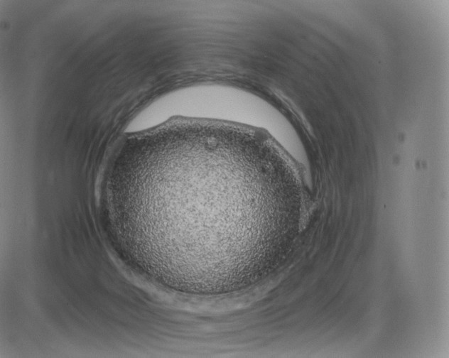 X0000083600026200702231758