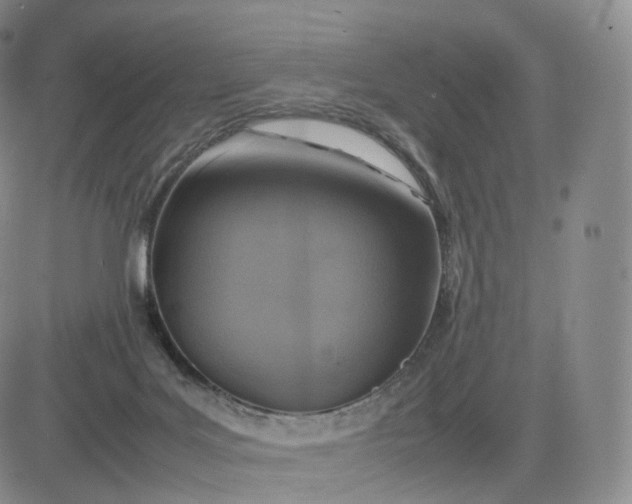 X0000083600027200702231758