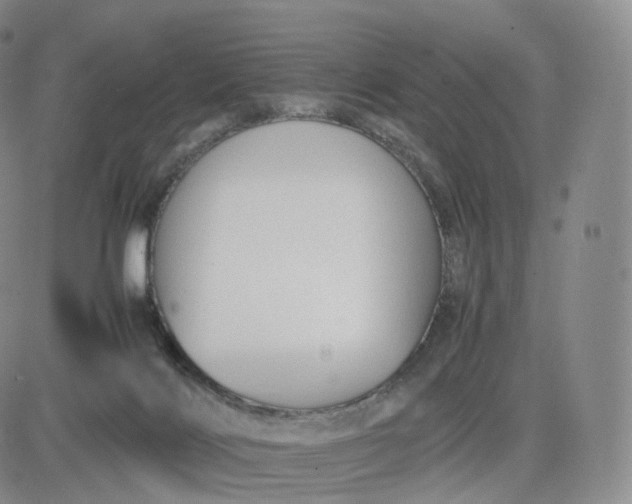 X0000083600028200702231758