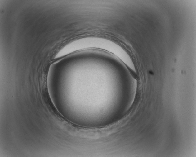 X0000083600029200702231758