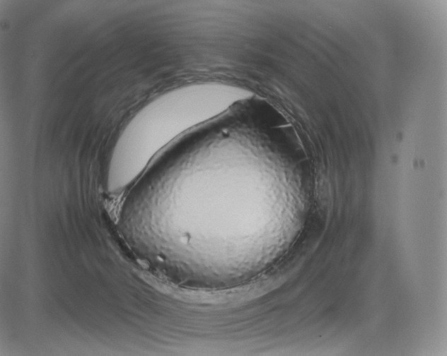 X0000083600030200702231758