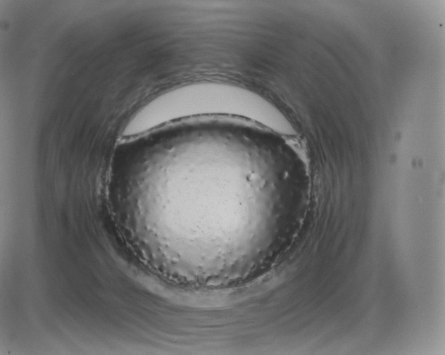 X0000083600032200702231758