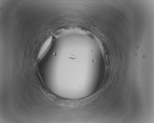 X0000083600033200702231758