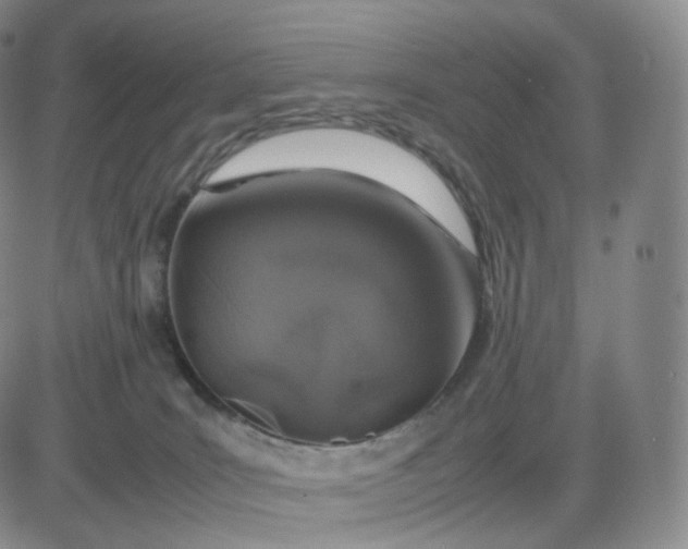 X0000083600035200702231758