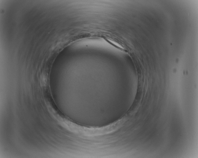 X0000083600039200702231758