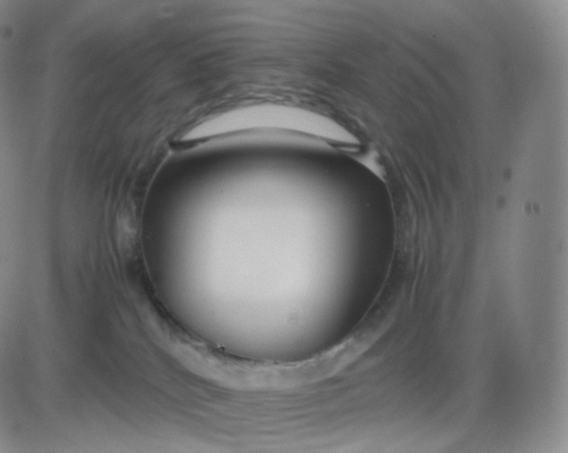 X0000083600040200702231758