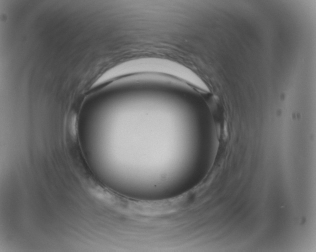 X0000083600041200702231757