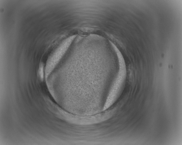 X0000083600042200702231757