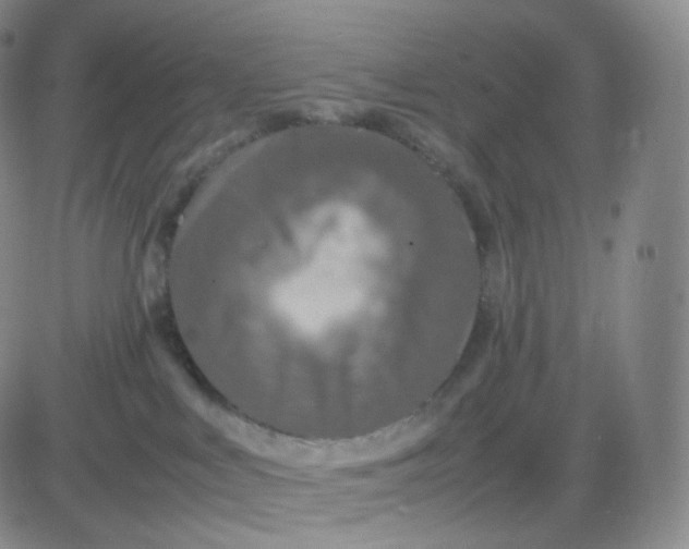 X0000083600043200702231757