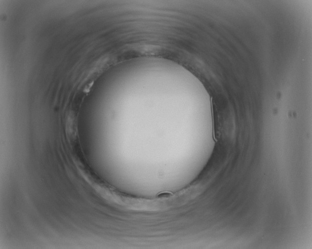 X0000083600044200702231757